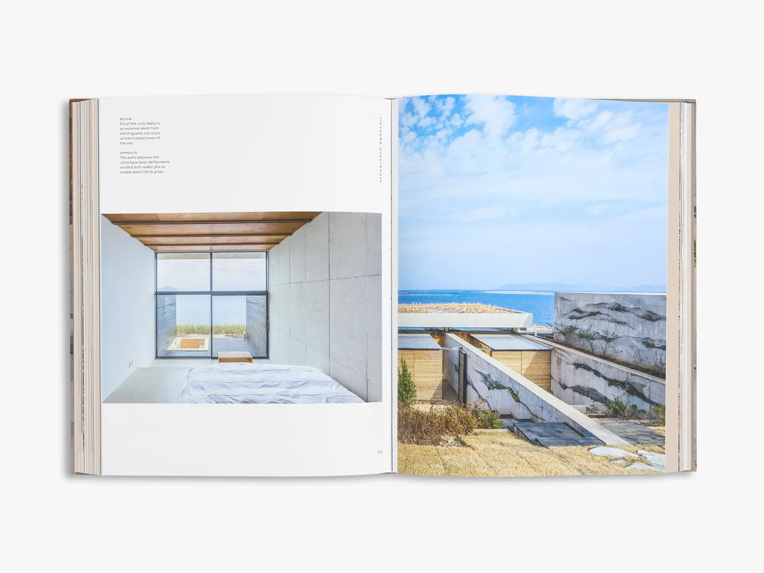 Thames & Hudson Earth Works husebog Byoung Cho