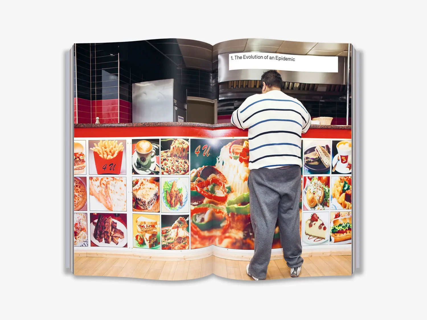 Thames & Hudson The Big Idea Is Our Food Killing Us? fagbog