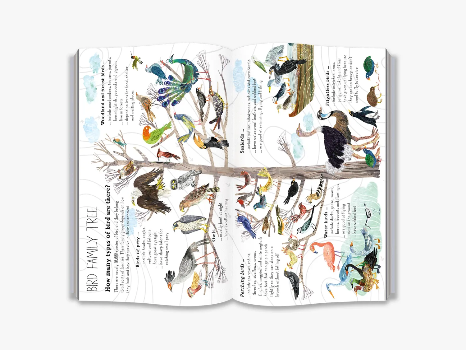 Thames & Hudson The Big Book of Birds børnebog fugle