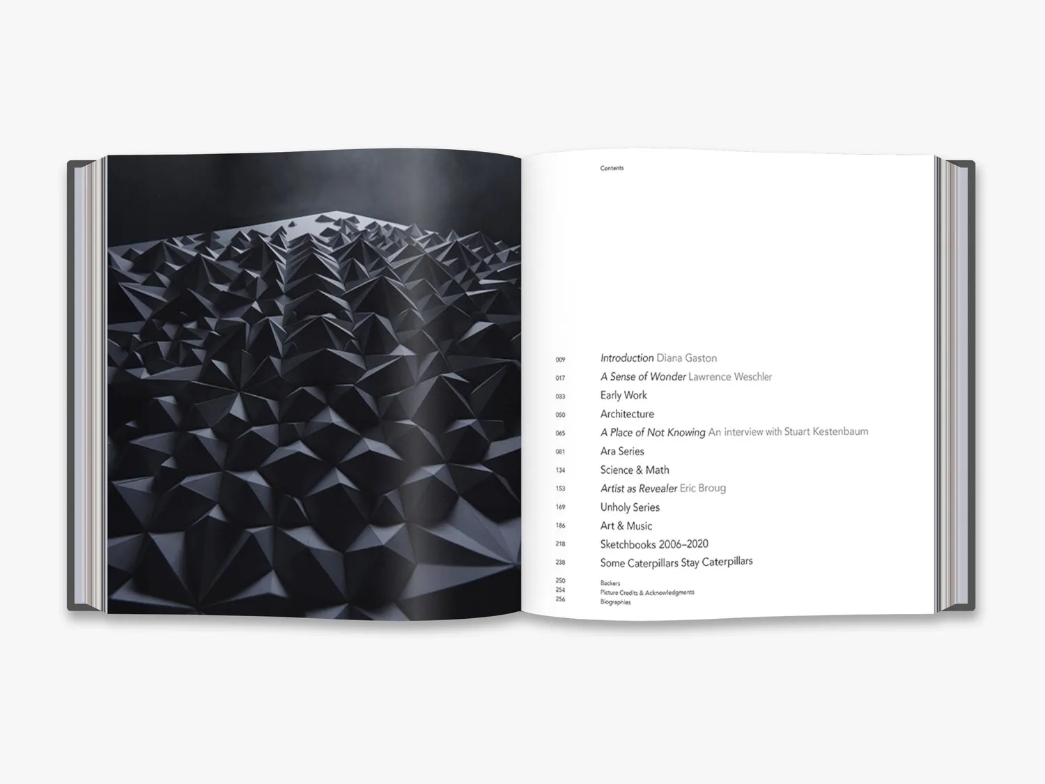 Thames & Hudson Unfolding Shlian papirkunst bog