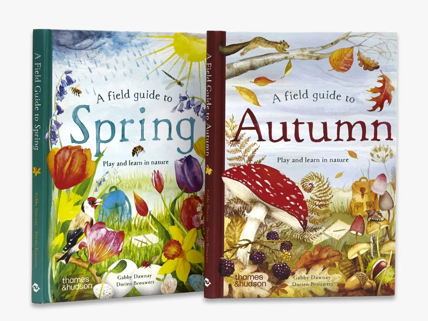 Thames & Hudson Field Guide to Autumn fagbog om efterår