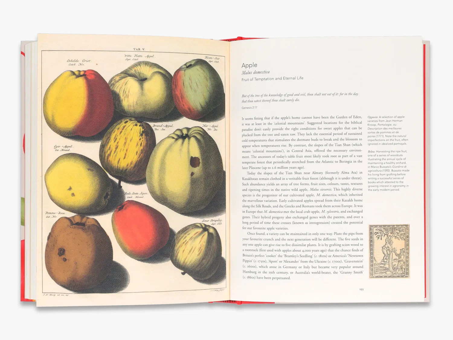 Thames & Hudson Remarkable Plants fagbog botanik