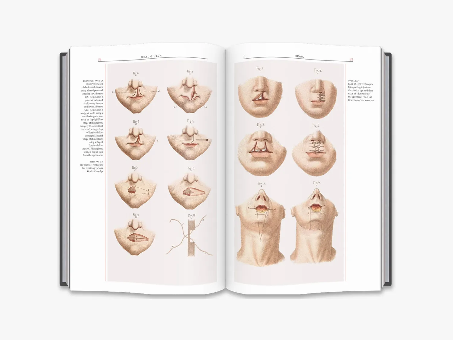 Thames & Hudson Crucial Interventions bog anatomi