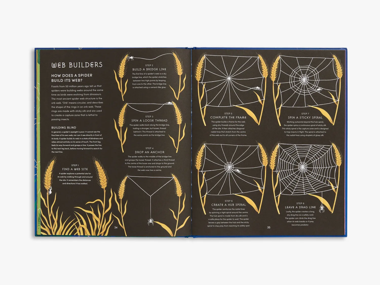 Thames & Hudson Secret World of Spider Webs fagbog edderkop