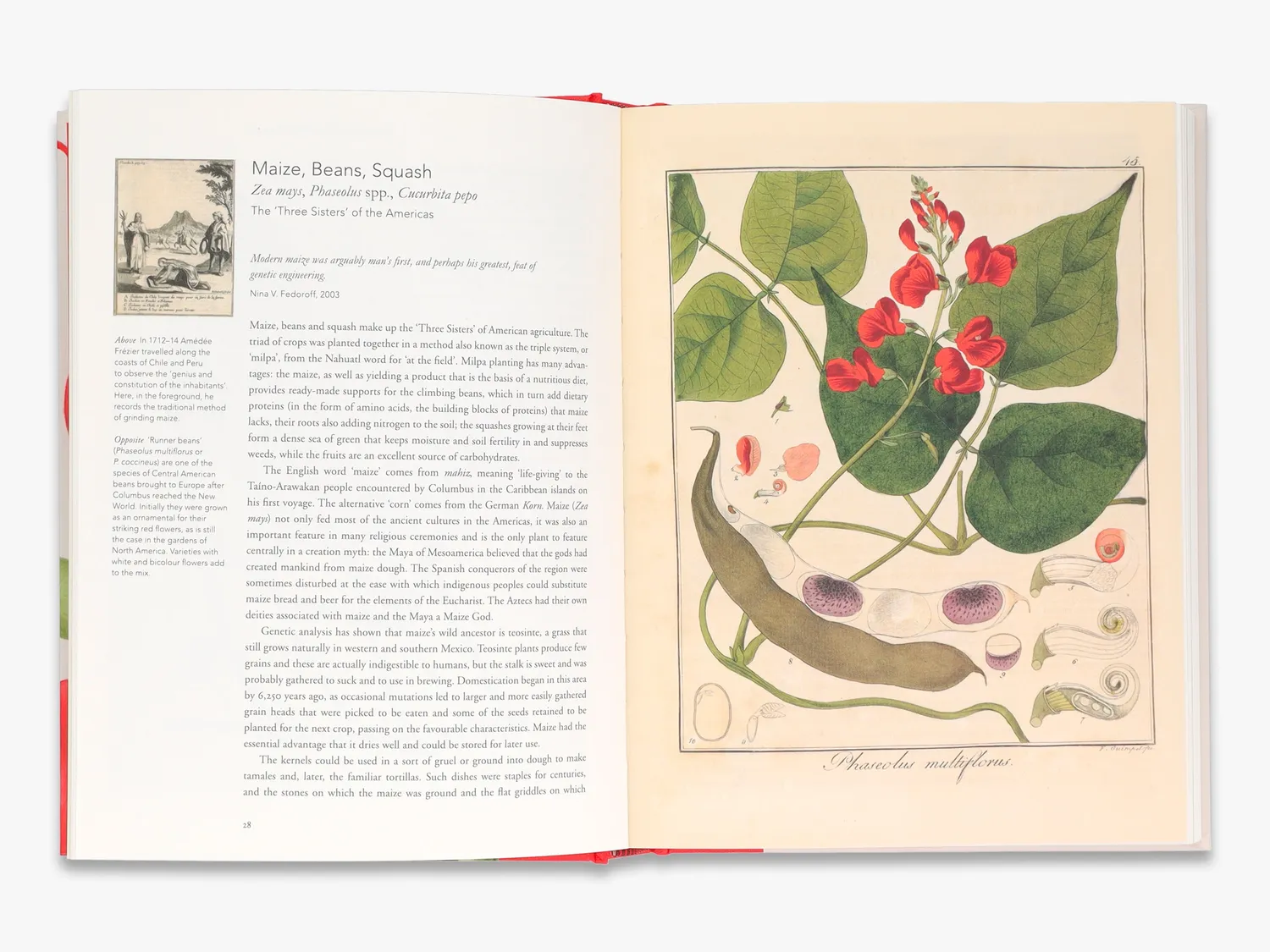 Thames & Hudson Remarkable Plants fagbog botanik
