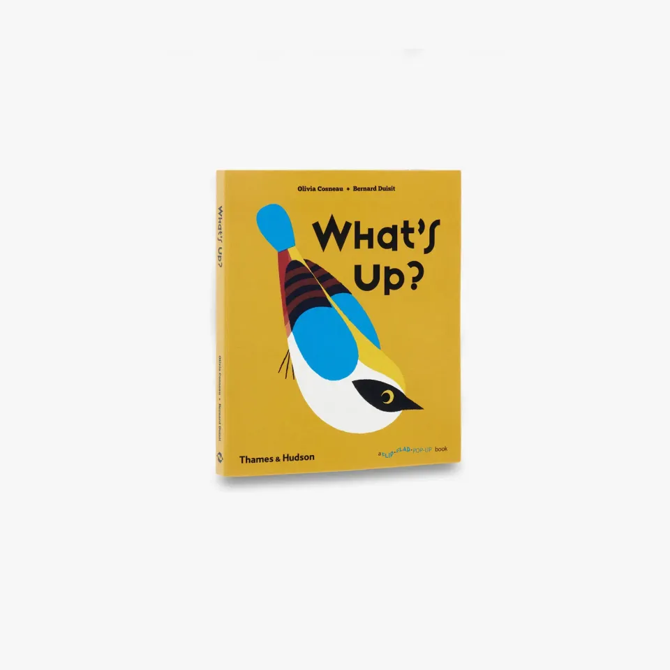 Thames & Hudson What's Up flip flap pop-op børnebog