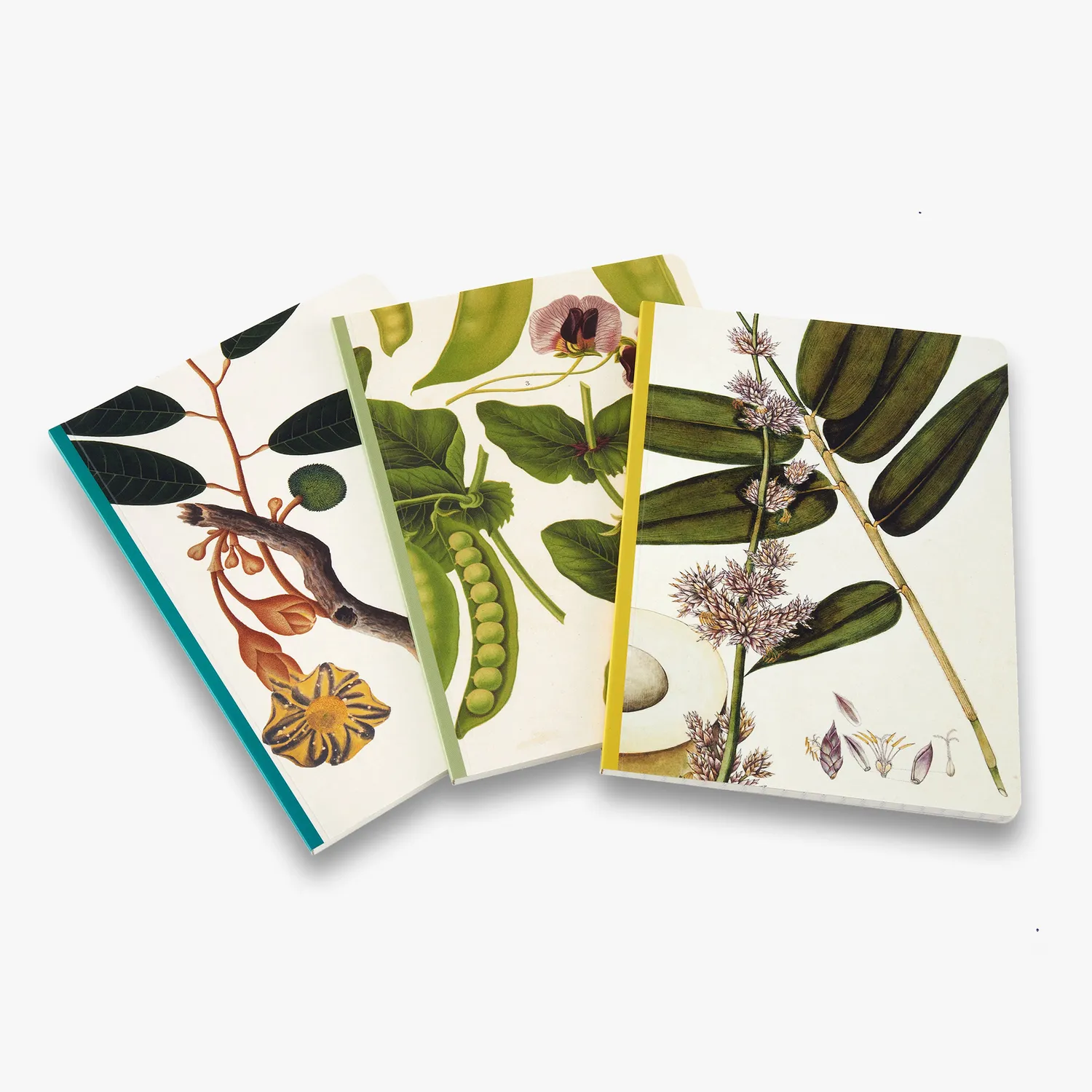 Thames & Hudson Remarkable Plants notesbøger 3 stk A5