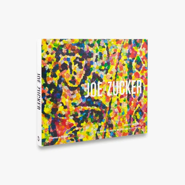 Thames & Hudson Joe Zucker bog monografi