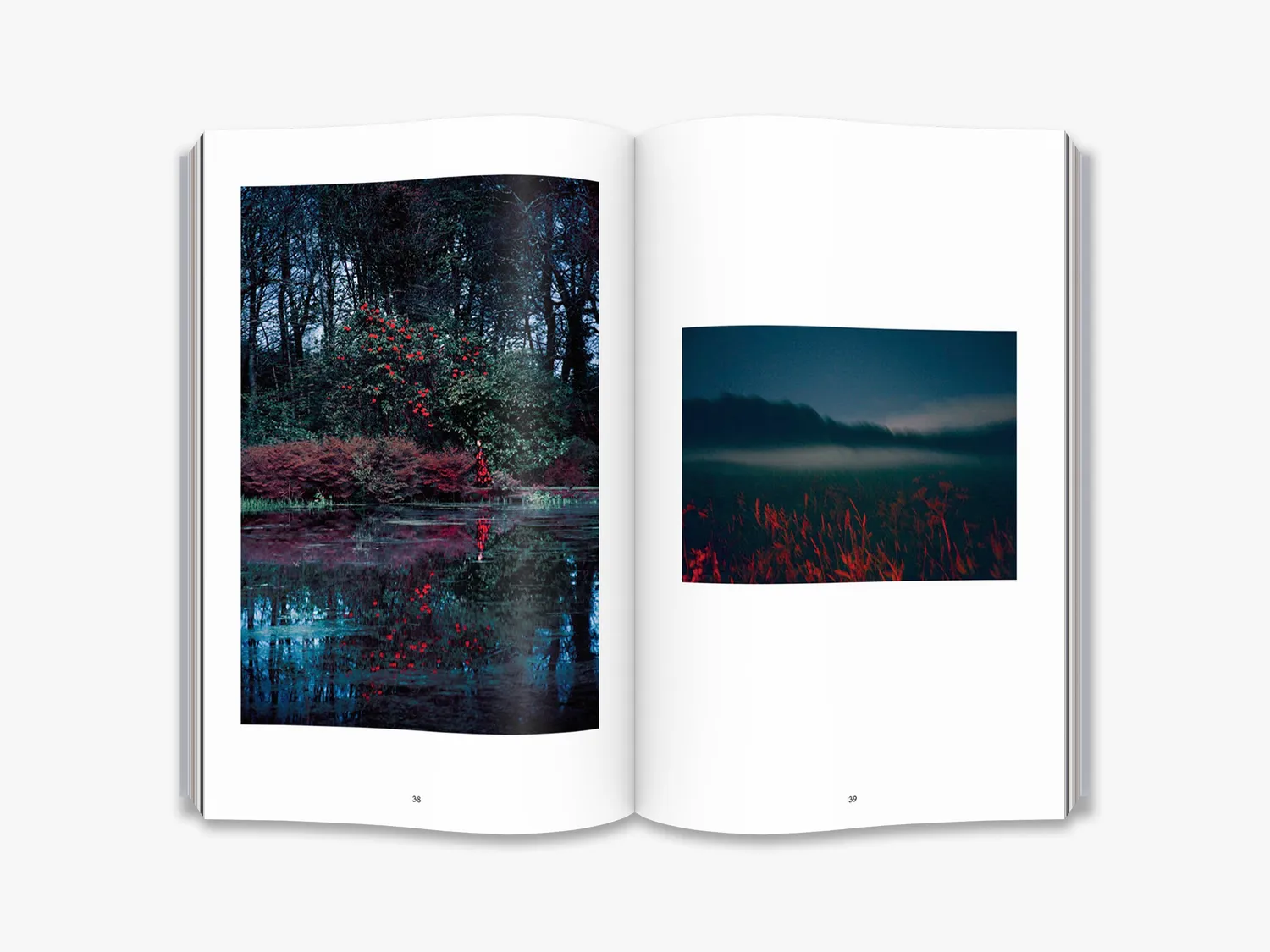 Thames & Hudson Erik Madigan Heck Old Future fotobog illustreret