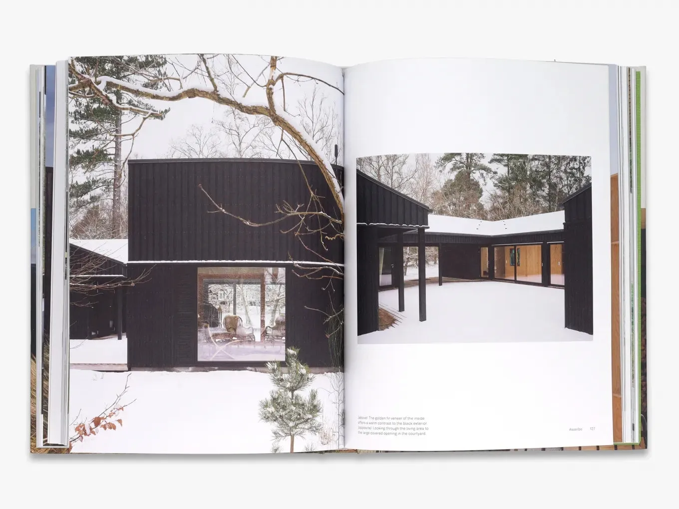 Thames & Hudson Earth, Sky & Water bog arkitektur