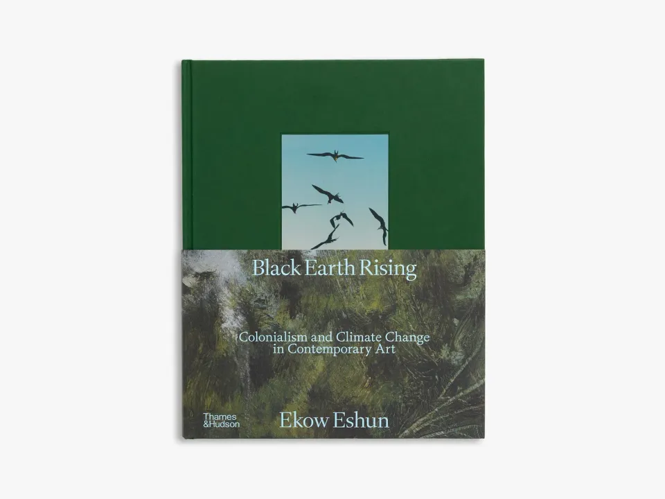 Thames & Hudson Black Earth Rising bog samtidskunst klima
