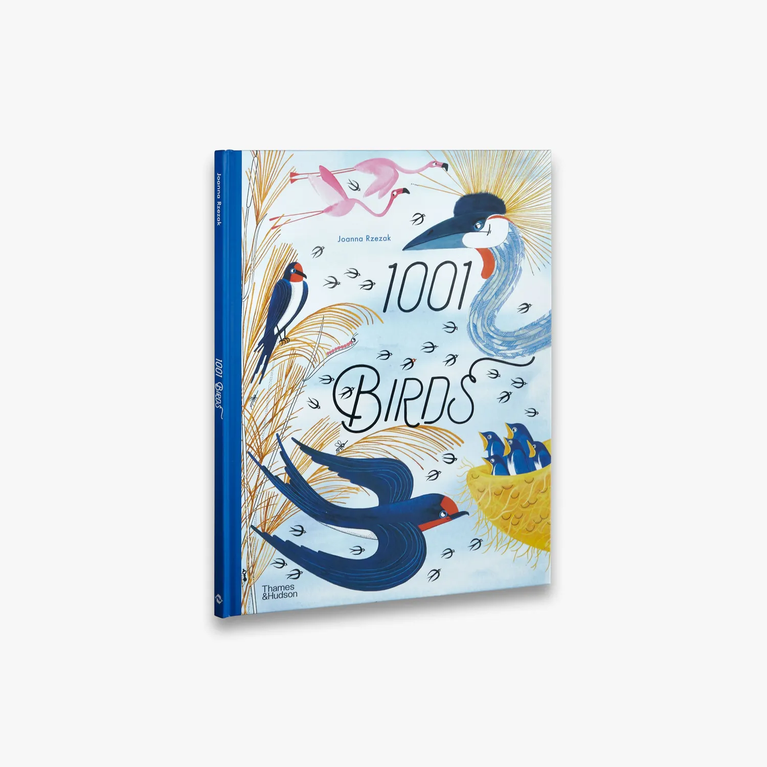 Thames & Hudson 1001 Birds børnebog fugle