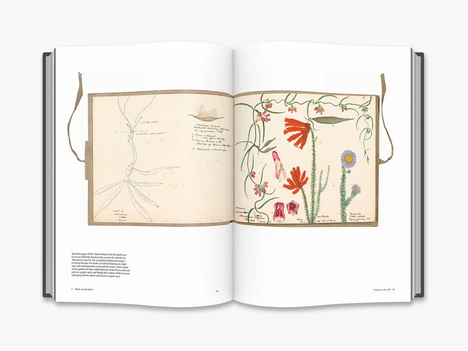 Thames & Hudson Botanical Sketchbooks bog botanisk kunst