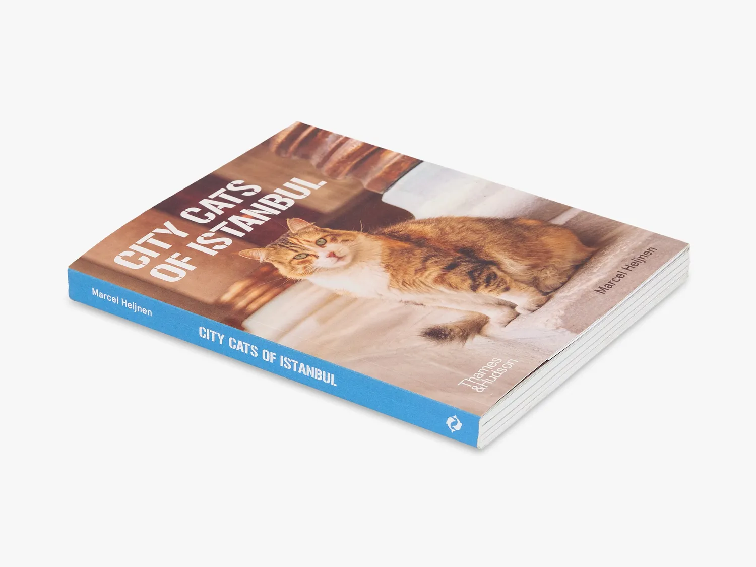 Thames & Hudson City Cats of Istanbul fotobog illustreret