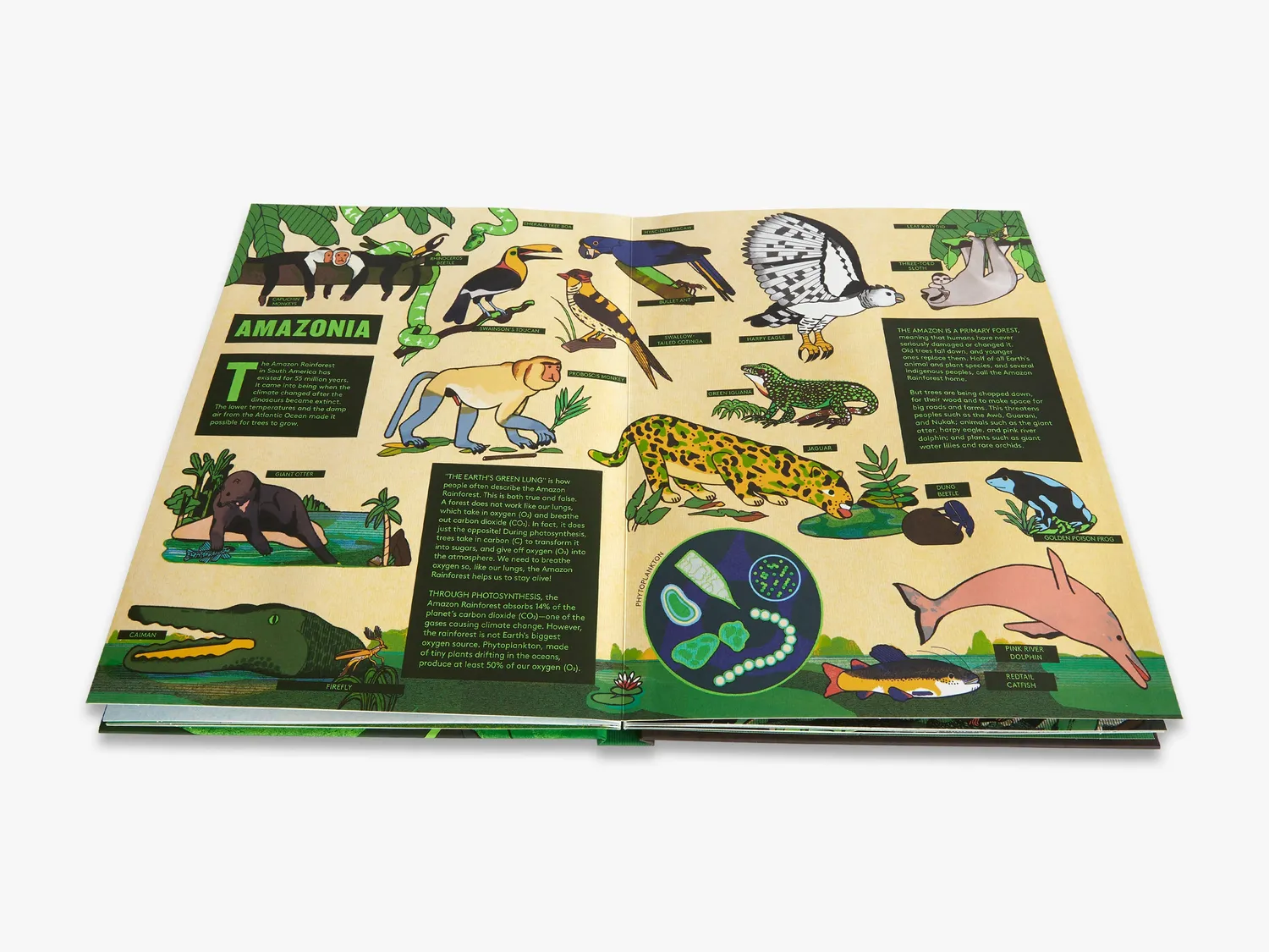 Thames & Hudson Pop-Up Forest pop-op bog skov