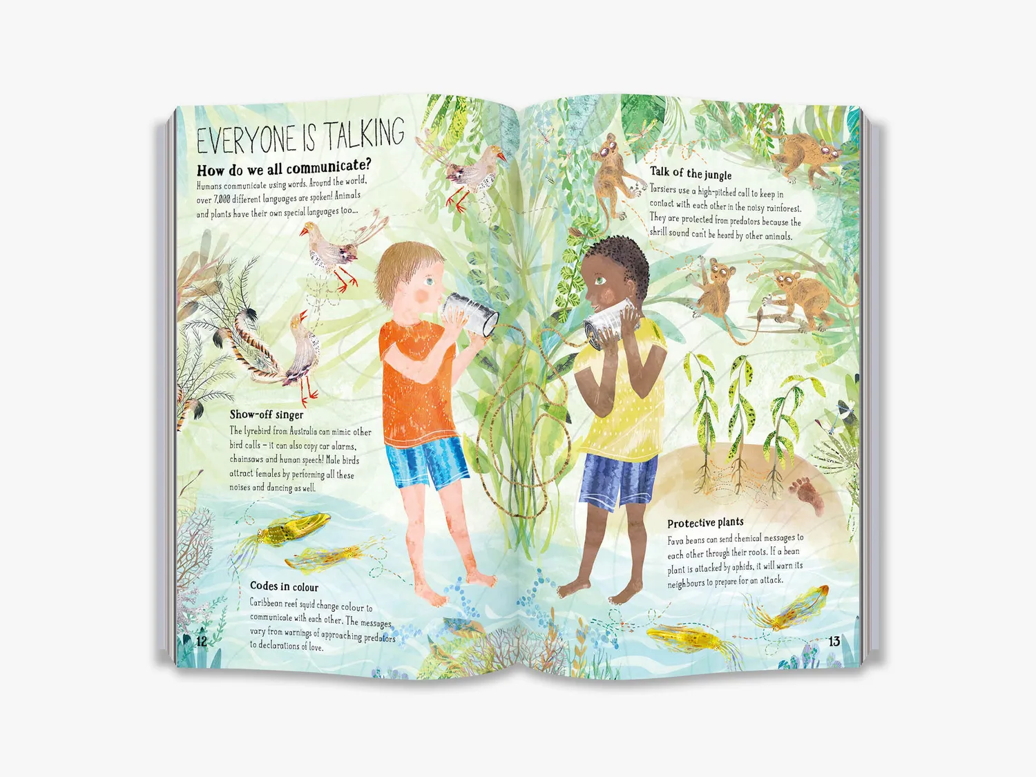 The Big Book series Big Book of Belonging børnebog natur illustreret