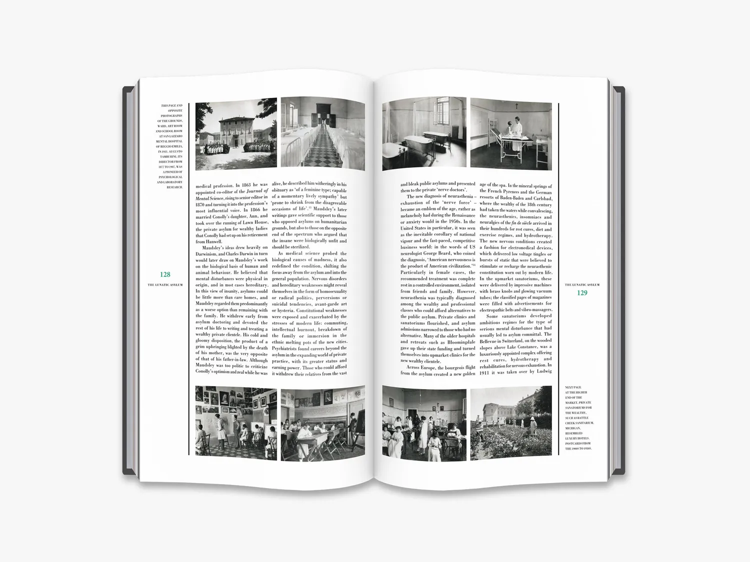 Thames & Hudson This Way Madness Lies fagbog – psykiatri