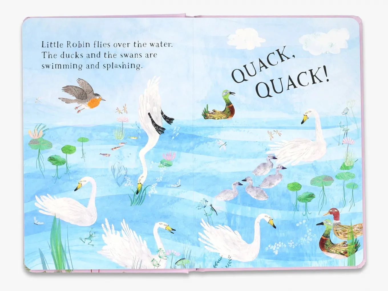 The Big Book Little Robin's Book of Birds papbog fugle