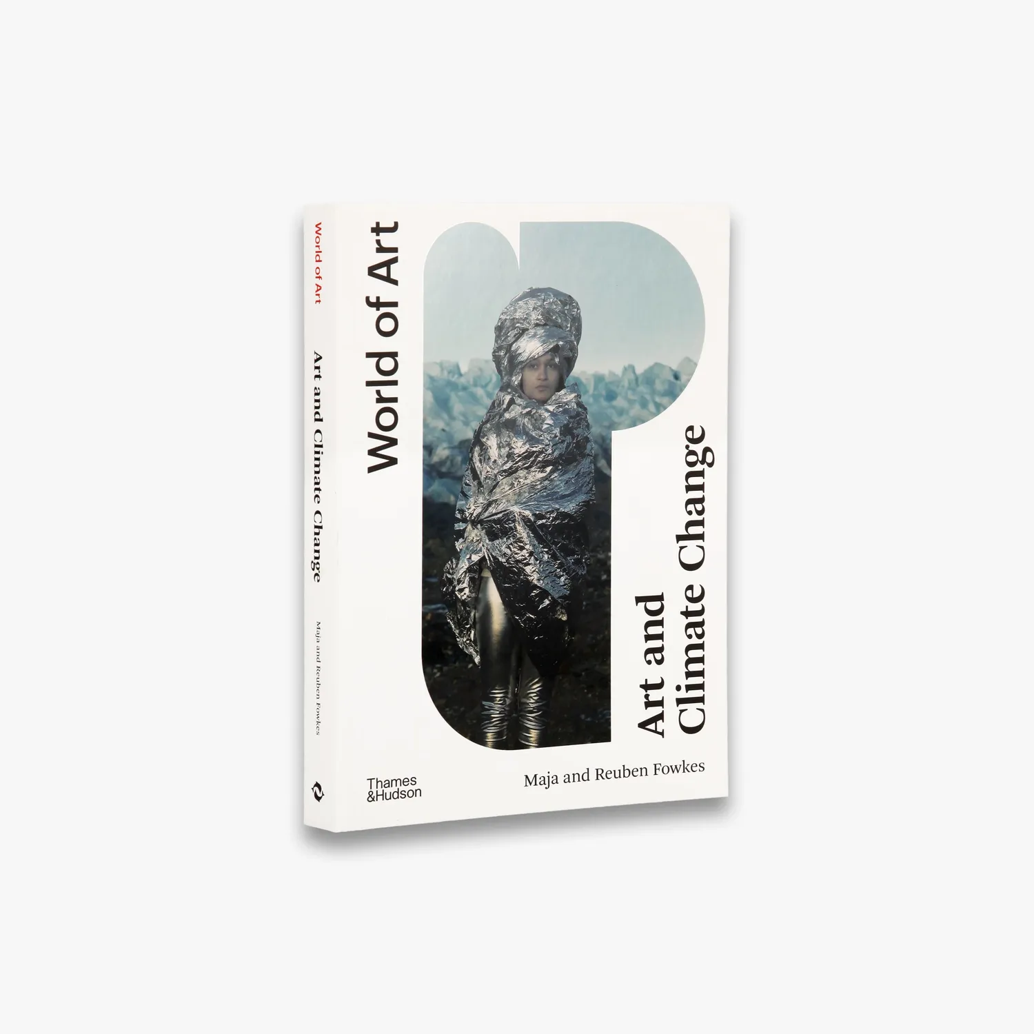 Thames & Hudson Art and Climate Change bog World of Art