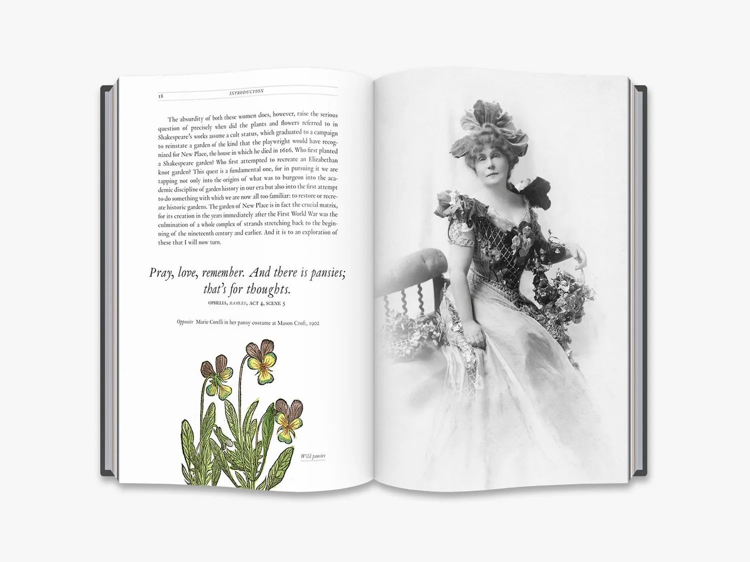 Thames & Hudson Quest for Shakespeare’s Garden bog haver