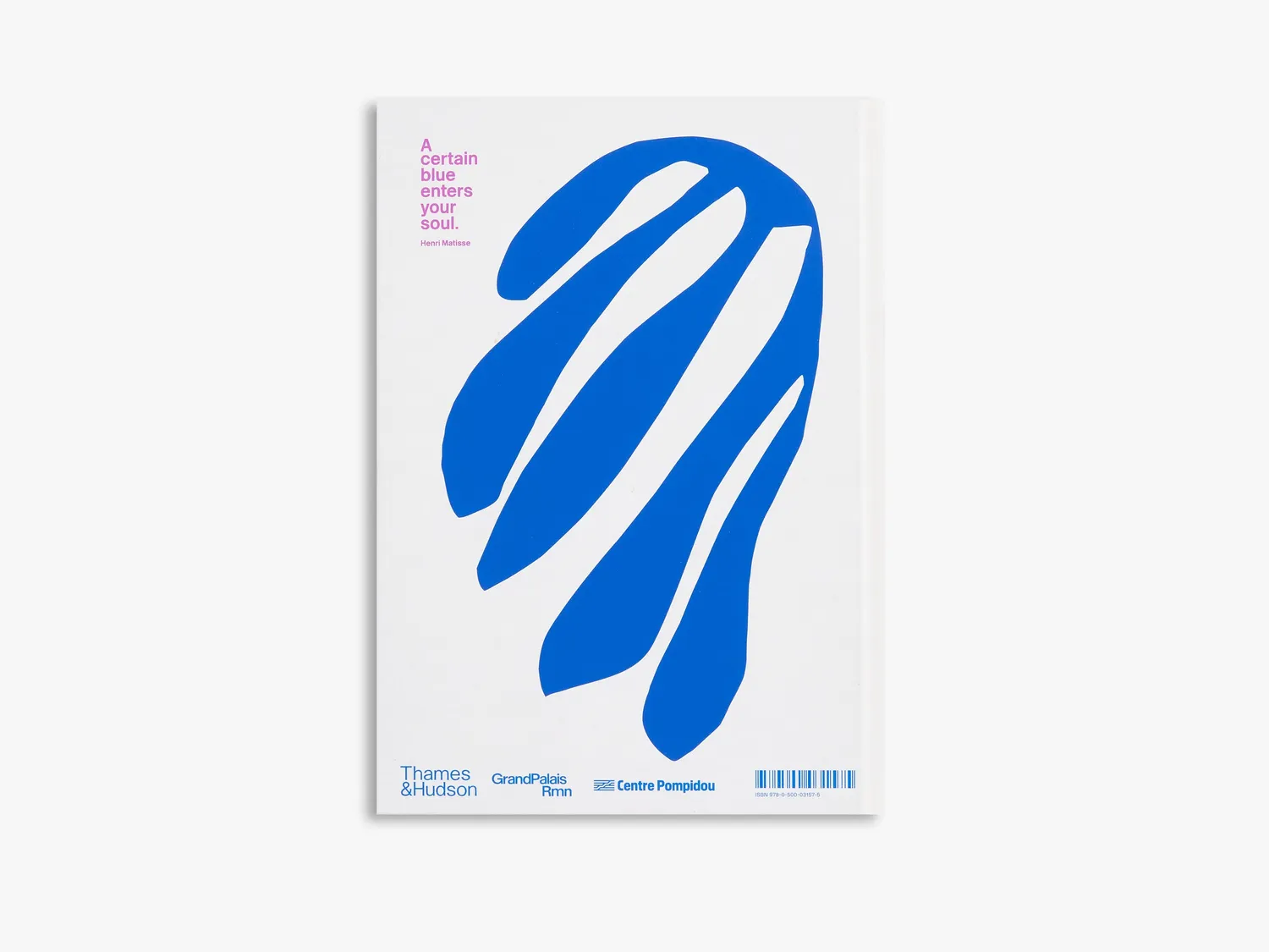 Thames & Hudson Colour Unbound Matisse kunstbog
