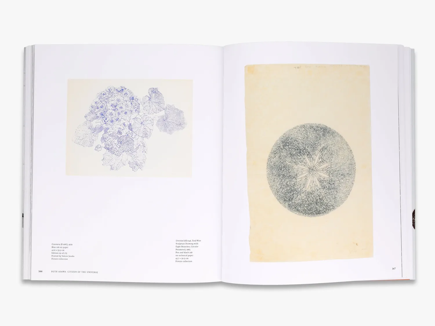 Thames & Hudson Ruth Asawa Citizen of the Universe kunstbog