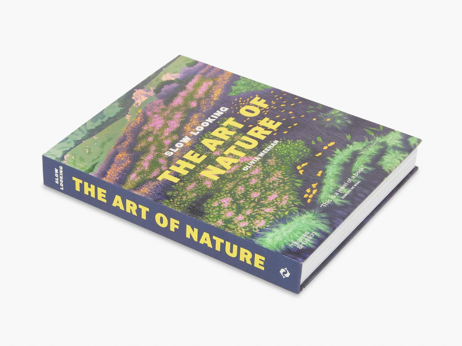 Thames & Hudson Slow Looking bog om kunst og natur