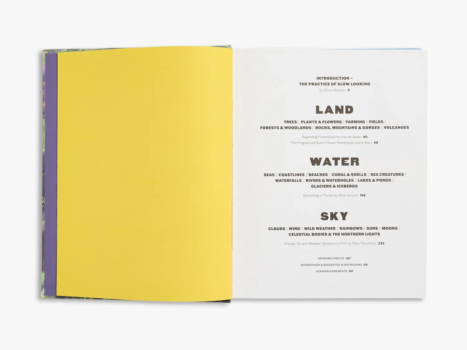 Thames & Hudson Slow Looking bog om kunst og natur