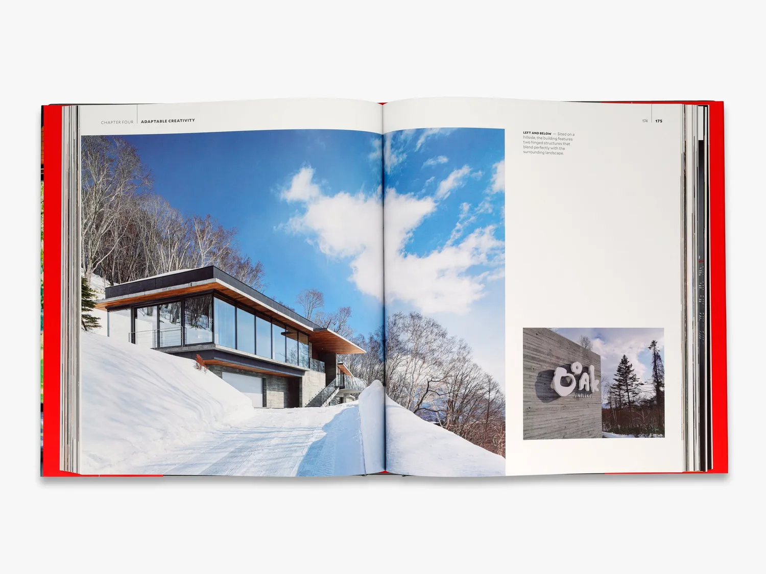 Thames & Hudson Steve Leung bog om arkitektur