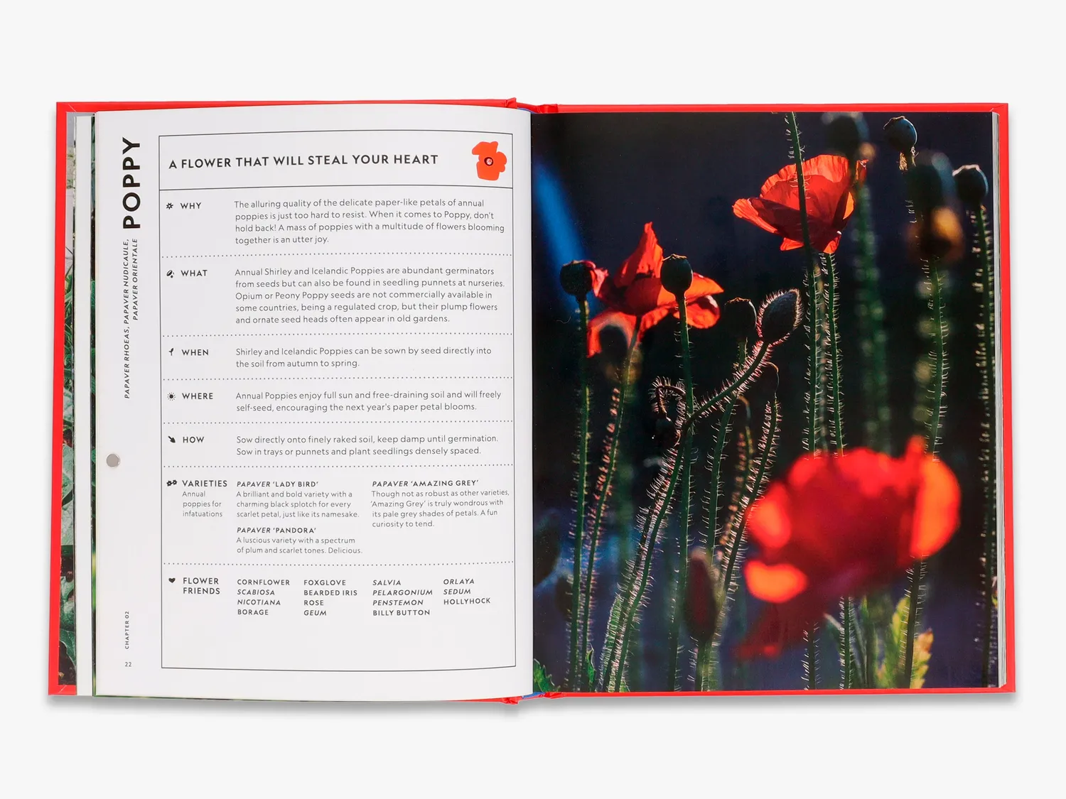 Thames & Hudson Super Bloom Handbook bog blomsterdyrkning