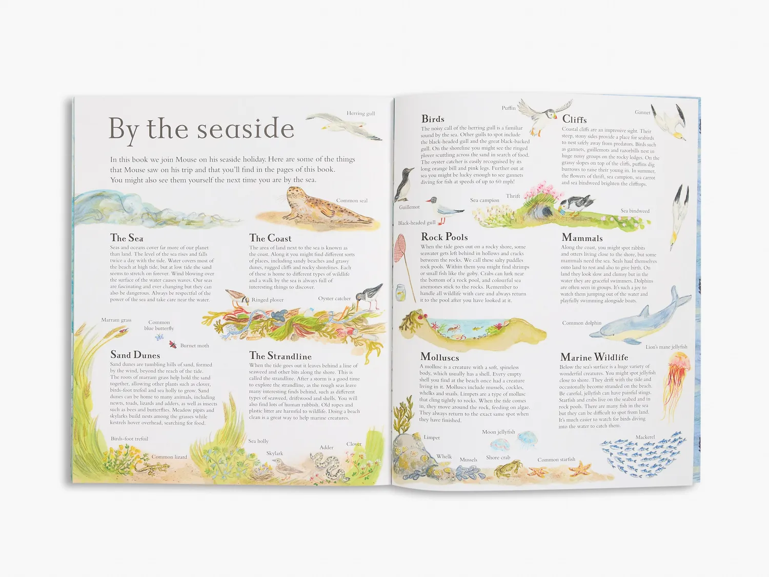 Thames & Hudson Mouse by the Sea billedbog børn