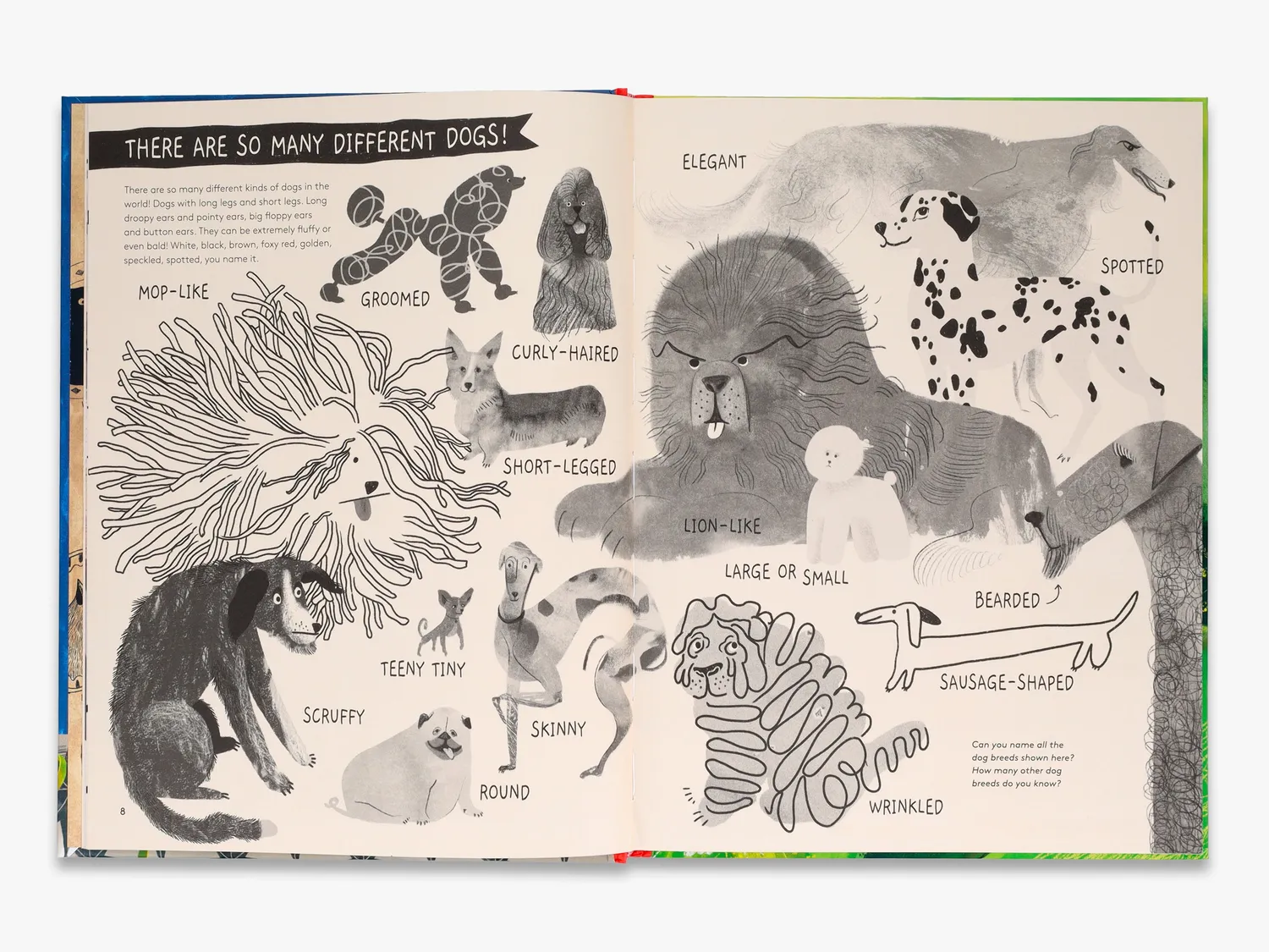 Thames & Hudson How to be Your Dog’s Best Friend bog