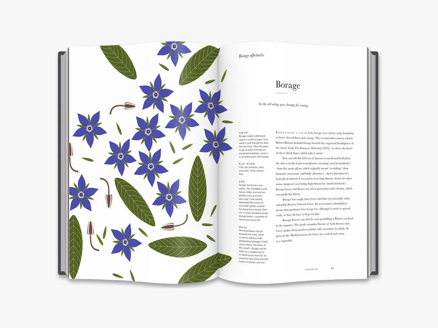 Thames & Hudson Herbarium bog om urter