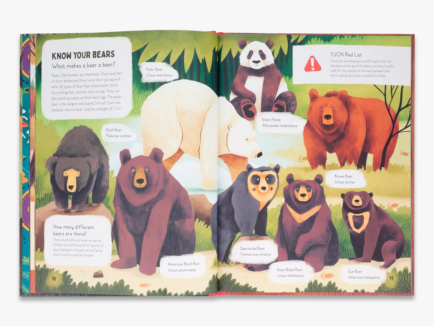 Thames & Hudson Go Wild Do bears poop in the woods? børnebog illustreret