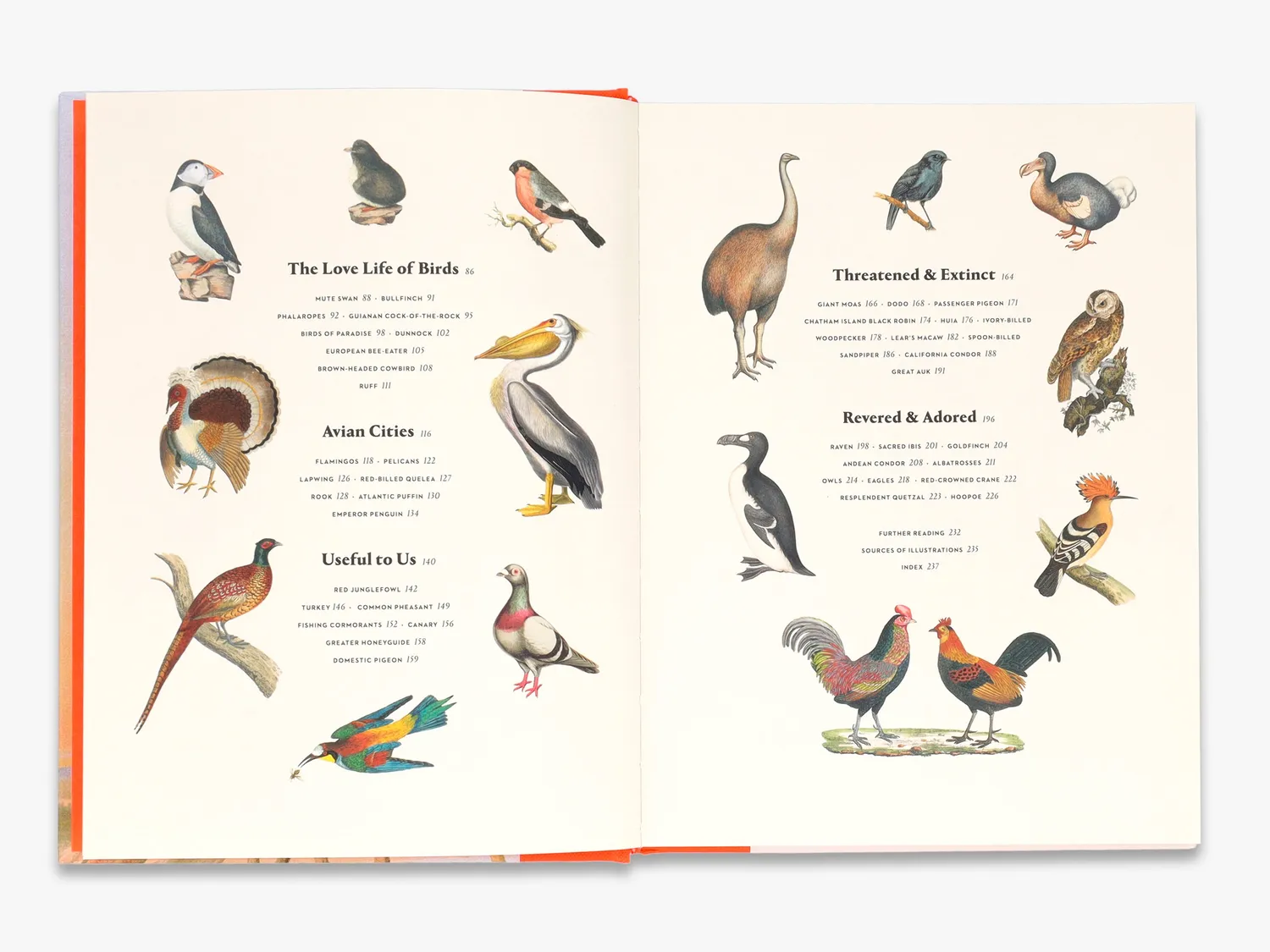 Thames & Hudson Remarkable Birds bog – fugle illustreret