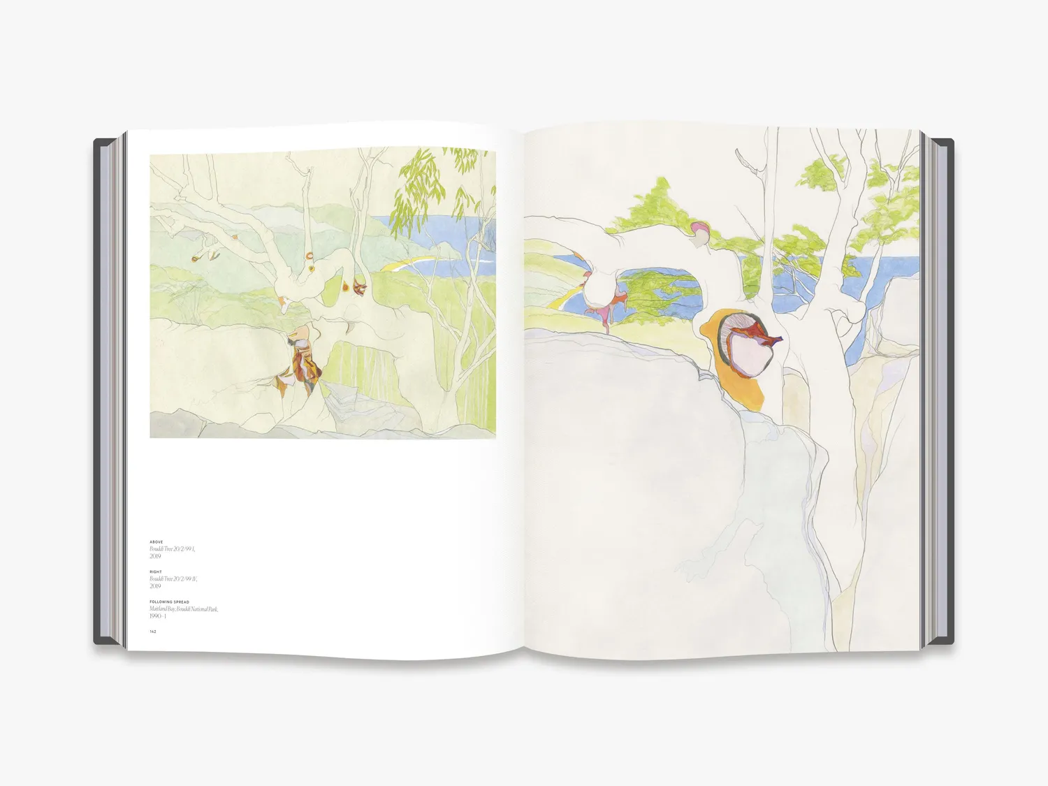 Thames & Hudson Philip Hughes Painting Australia kunstbog