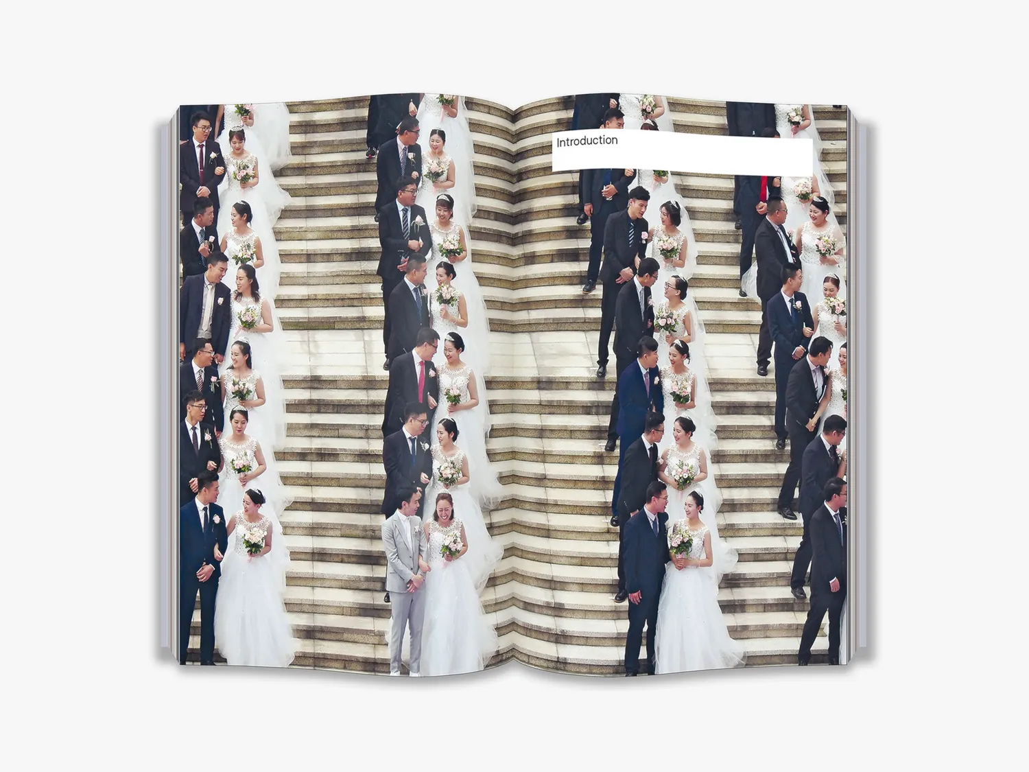 Thames & Hudson Does Monogamy Work bog monogami