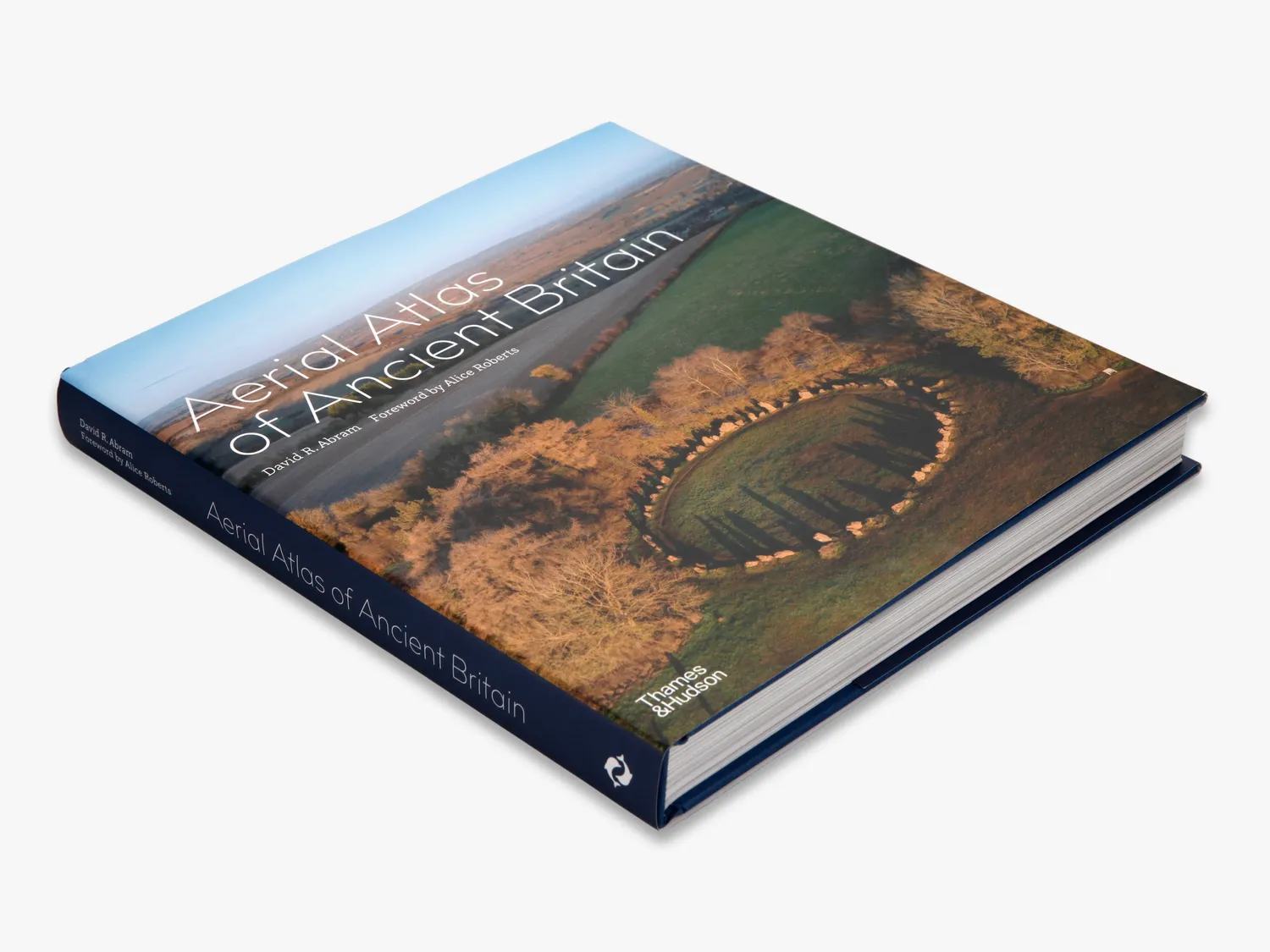 Thames & Hudson Aerial Atlas of Ancient Britain fotobog