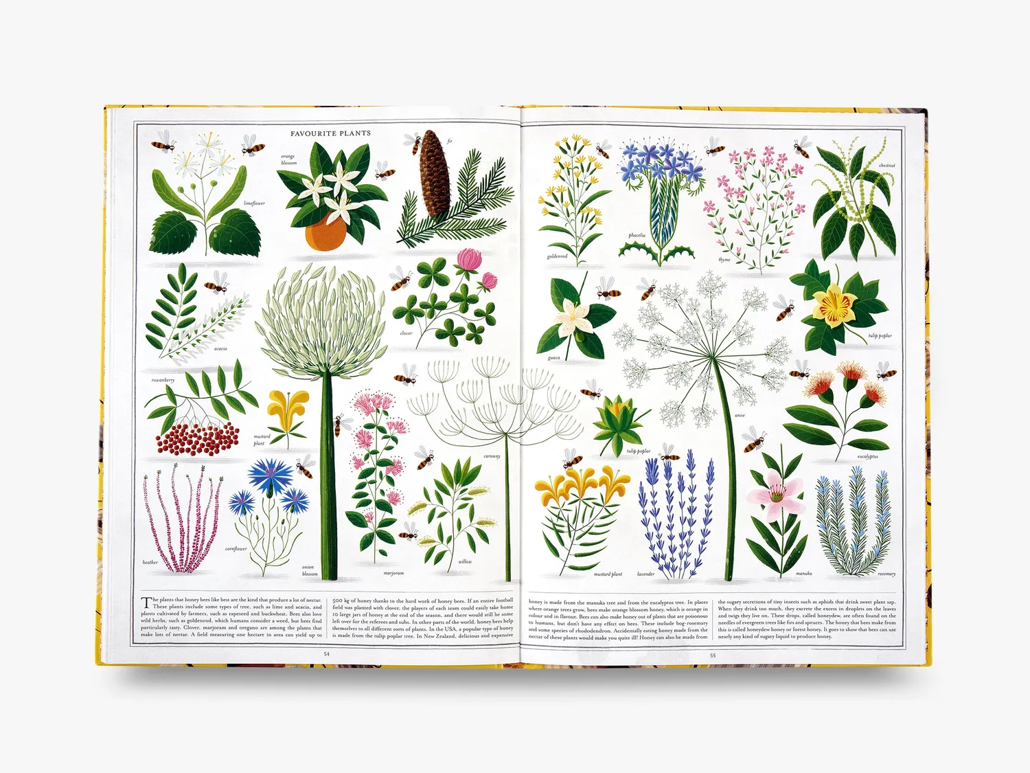 Thames & Hudson The Book of Bees billedbog bier illustreret
