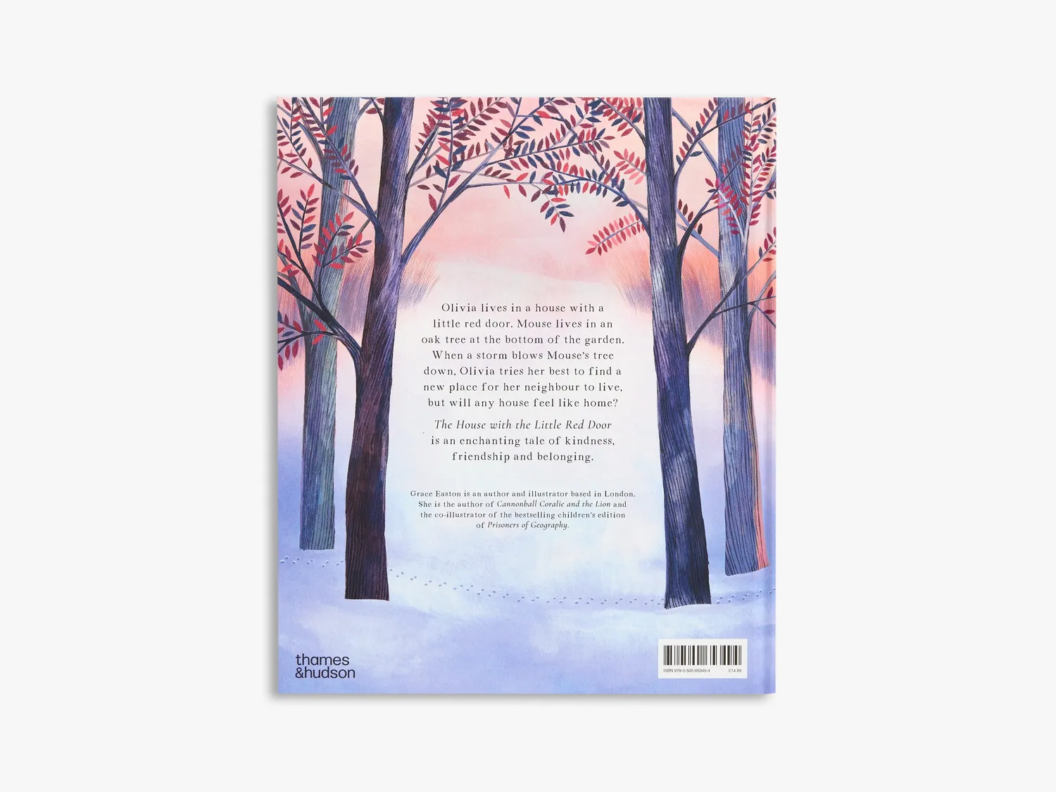 Thames & Hudson Olivia & Mouse billedbog – huset med døren