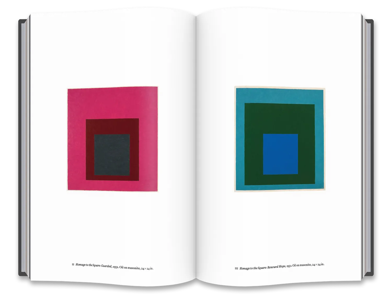 Thames & Hudson Josef Albers bog – farvelære