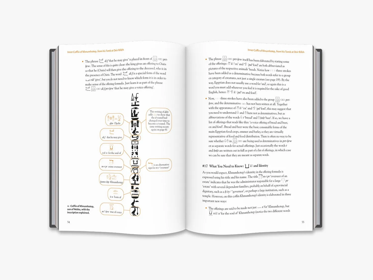 Thames & Hudson Egyptian Hieroglyphs Beginners bog hieroglyffer