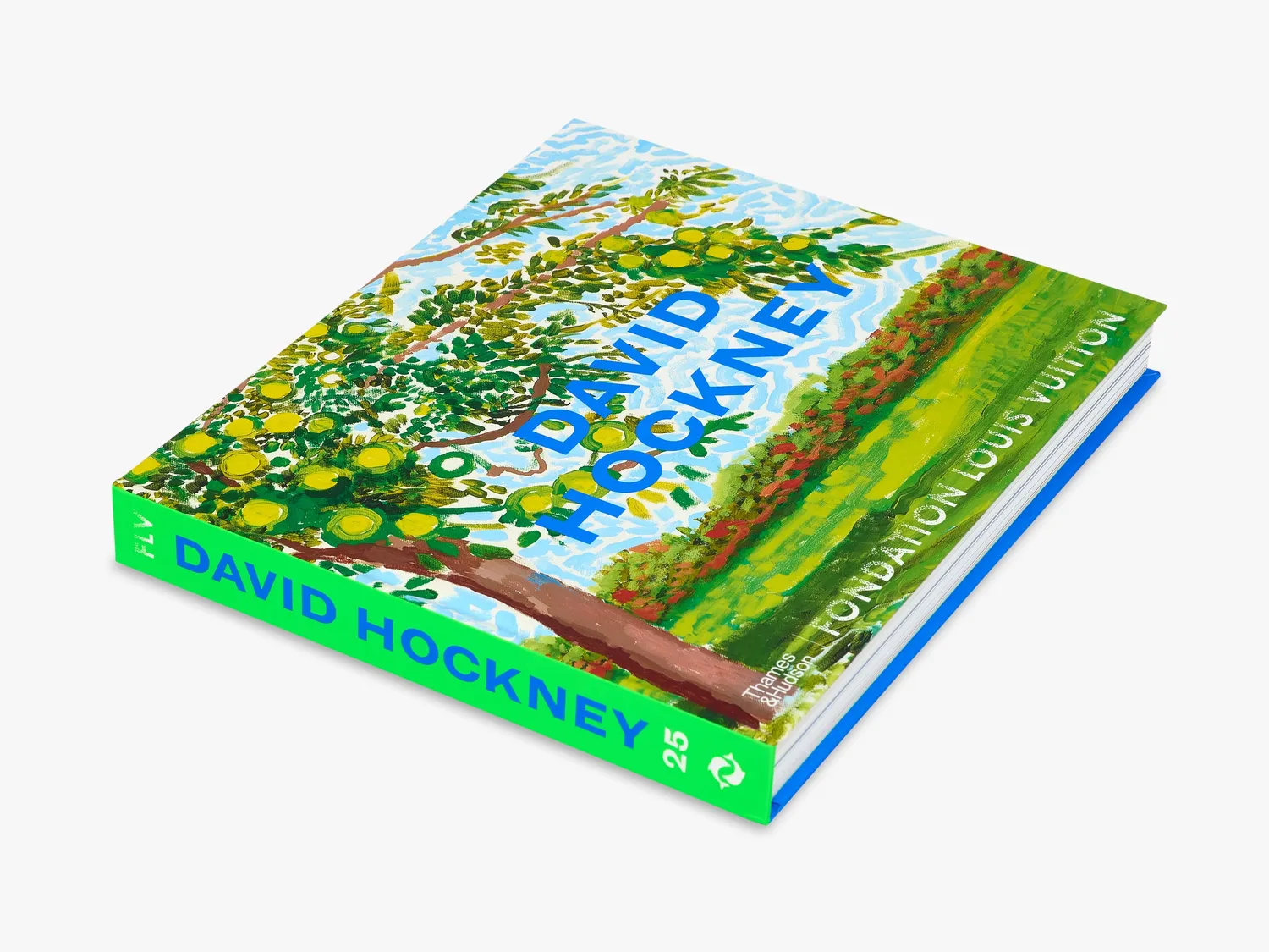 Thames & Hudson David Hockney bog stor illustreret