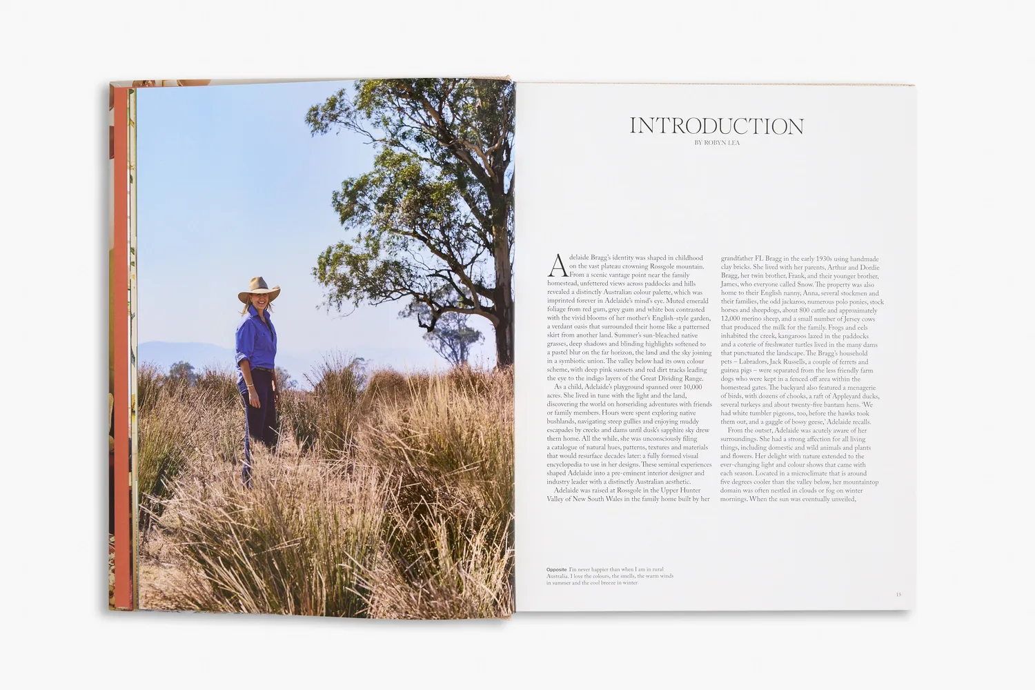Thames & Hudson City, Coast & Country interiørbog
