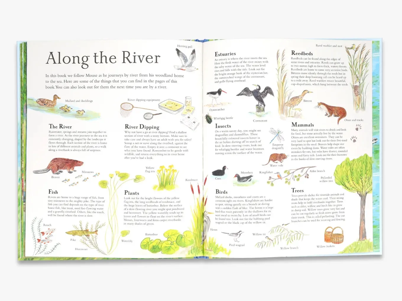 Thames & Hudson Mouse's Adventures Mouse on the River billedbog