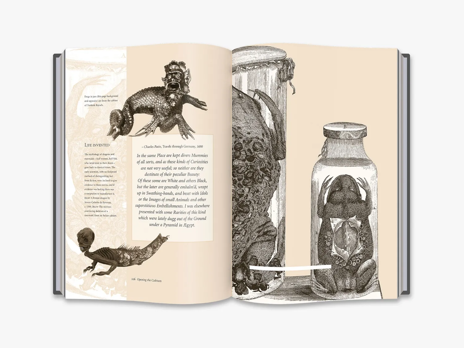 Thames & Hudson Cabinets of Curiosities bog illustreret historie