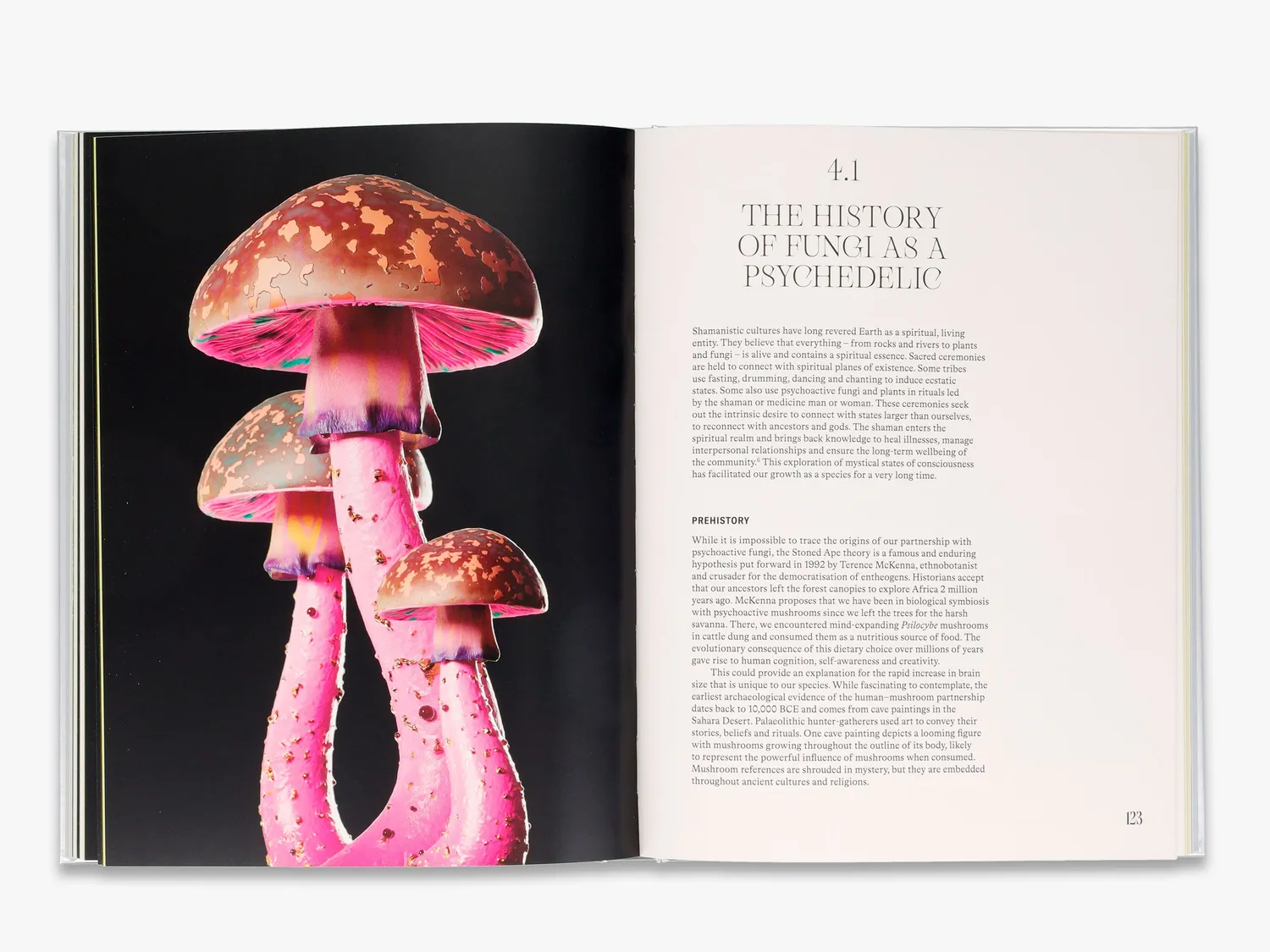 Thames & Hudson The Future is Fungi bog svampe