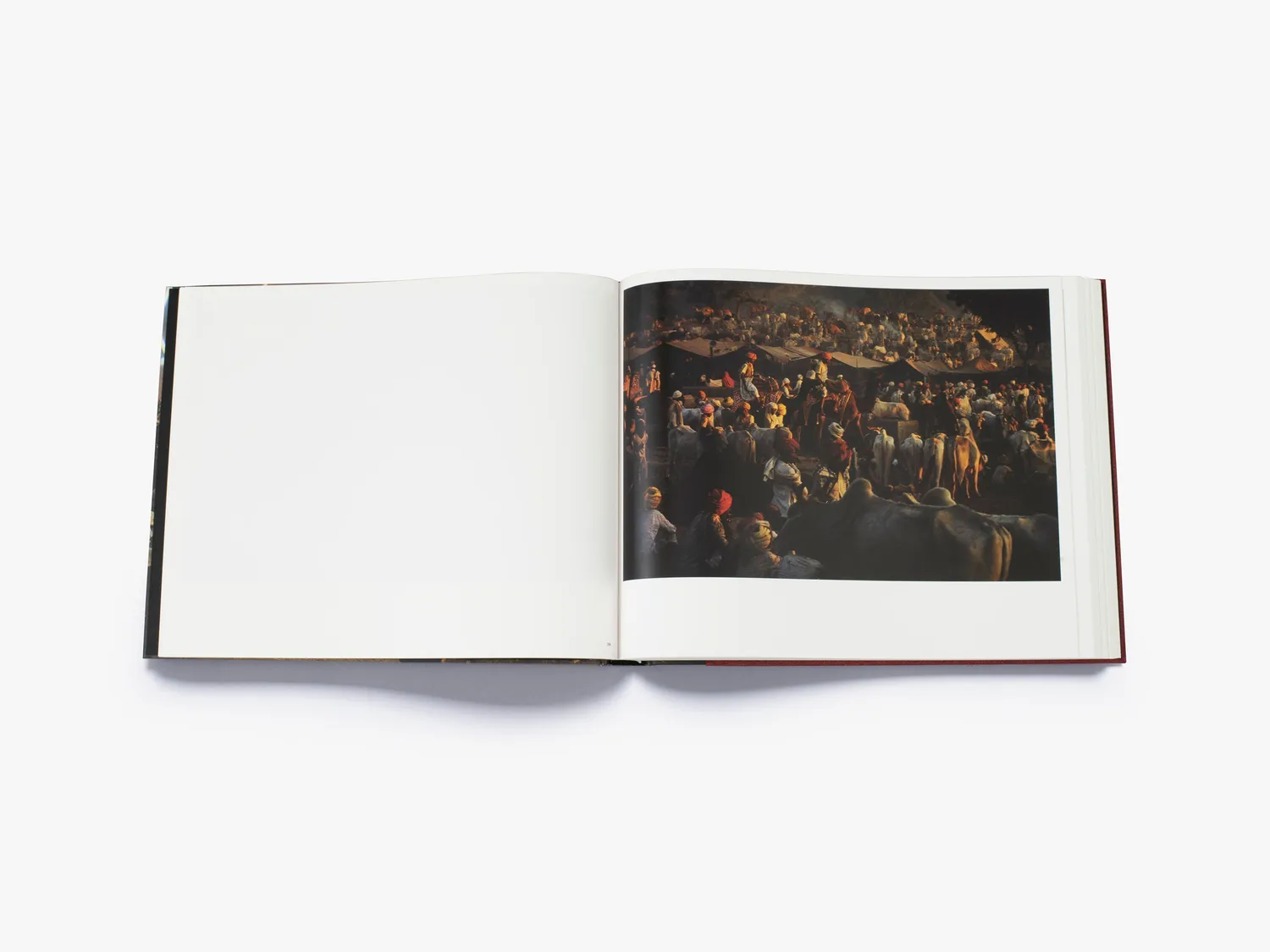 Thames & Hudson Harry Gruyaert India fotobog farvefotos