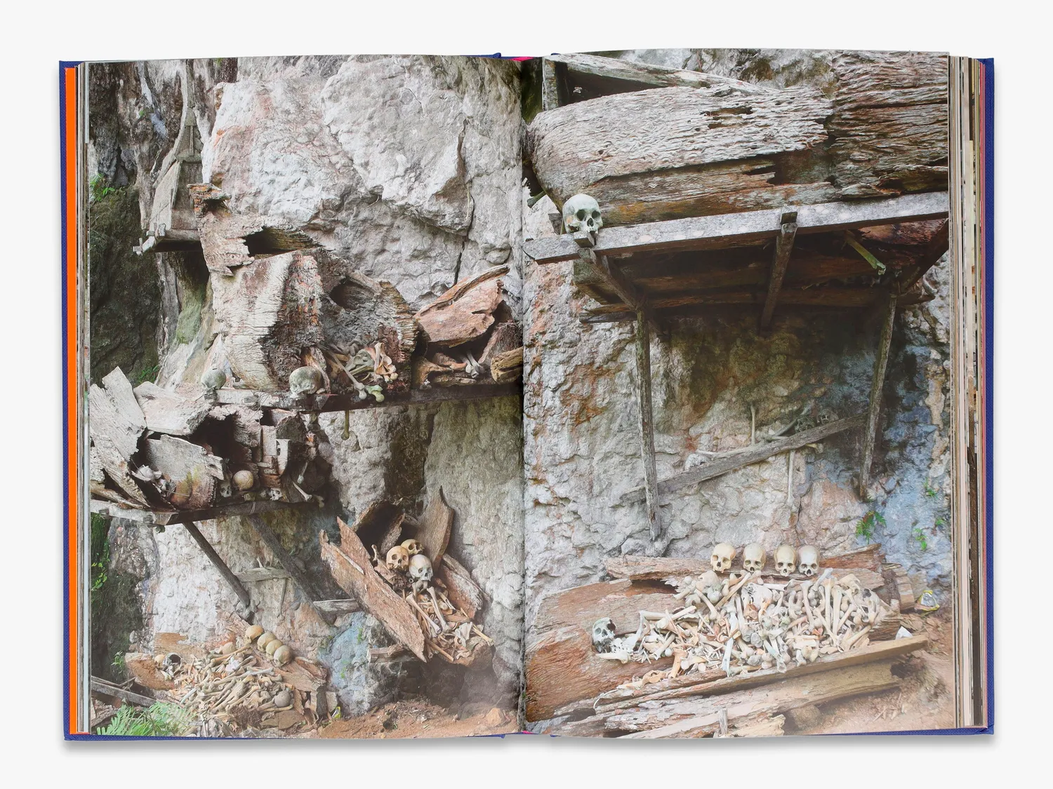 Thames & Hudson Memento Mori fotobog ritualer