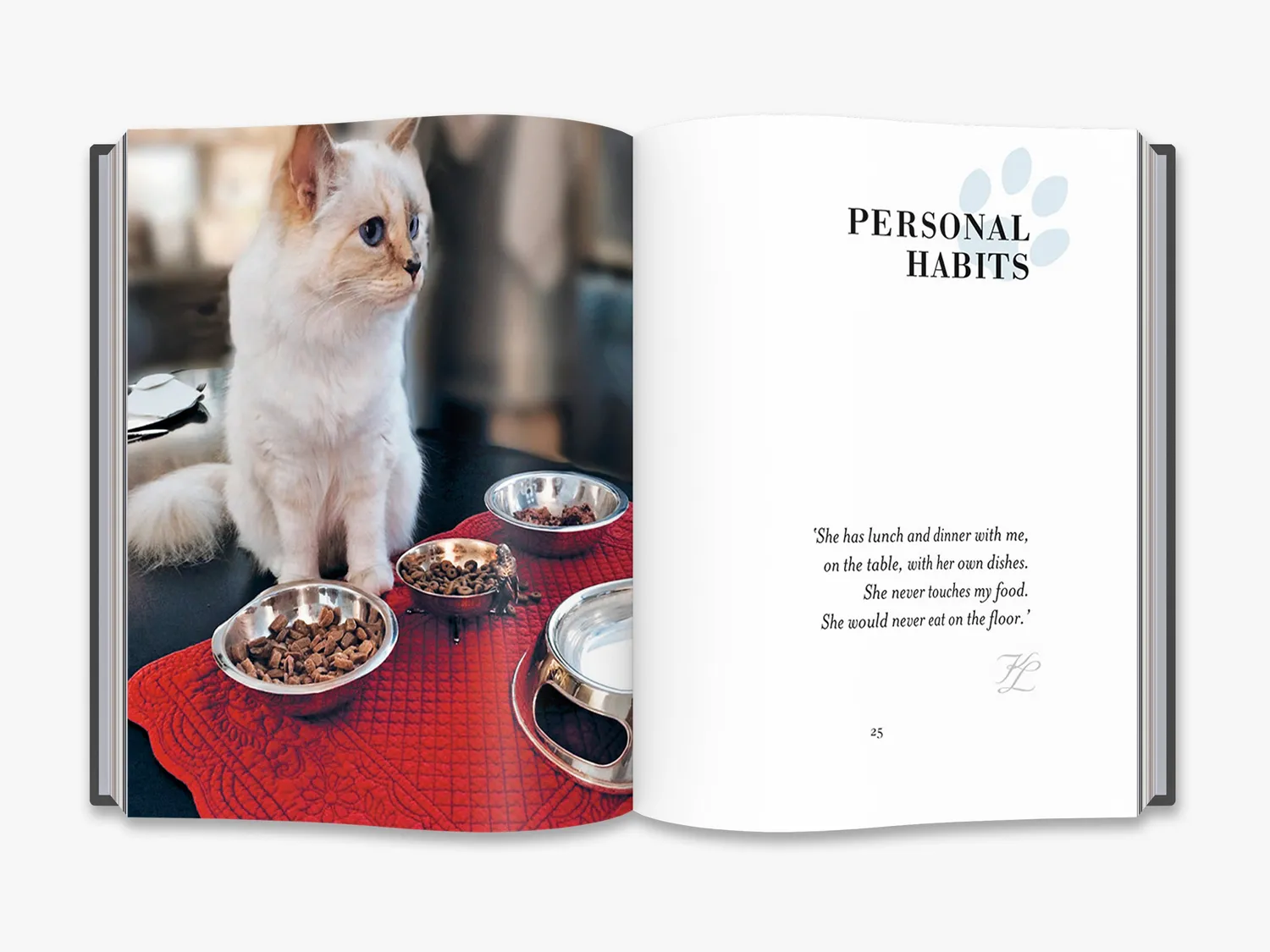 Thames & Hudson Choupette bog Karl Lagerfeld kat gave